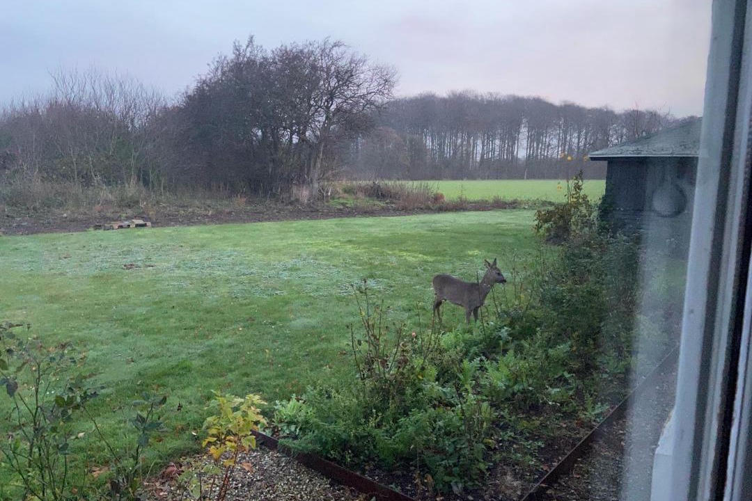 Photo of Others in Svendborg