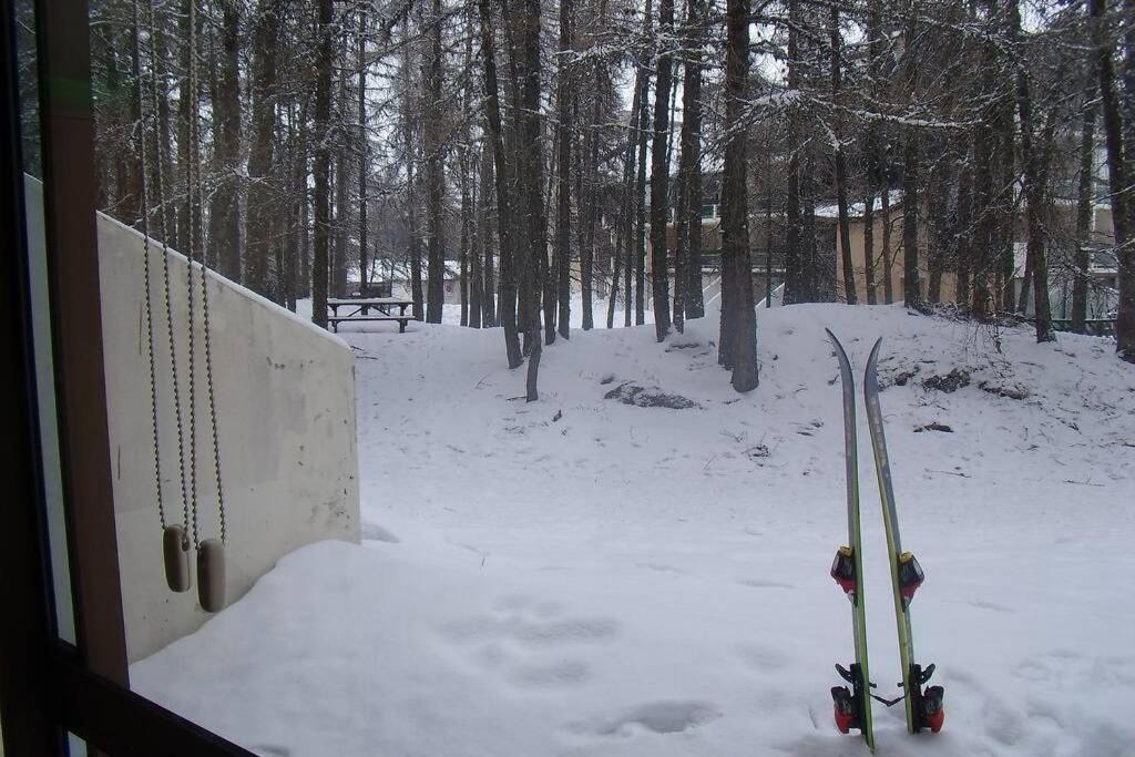 Photo of Others in La Joue du Loup