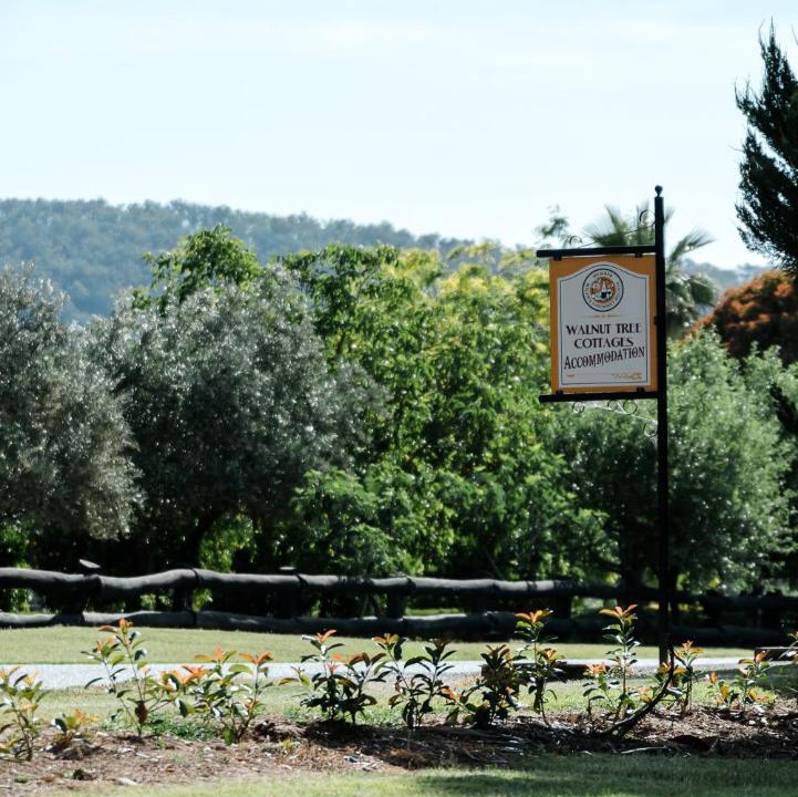 Photo of Others in Whorouly