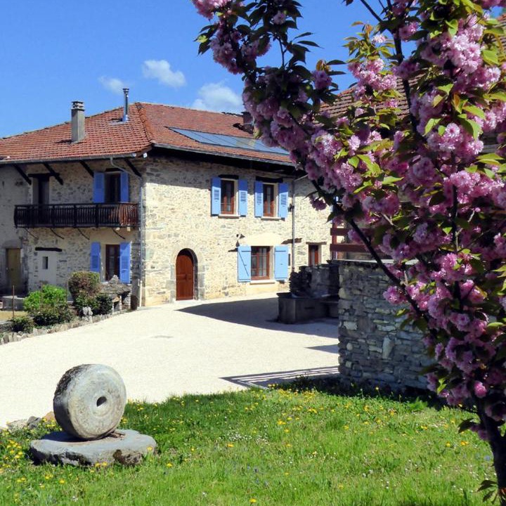 Photo of Others in Saint-Maximin