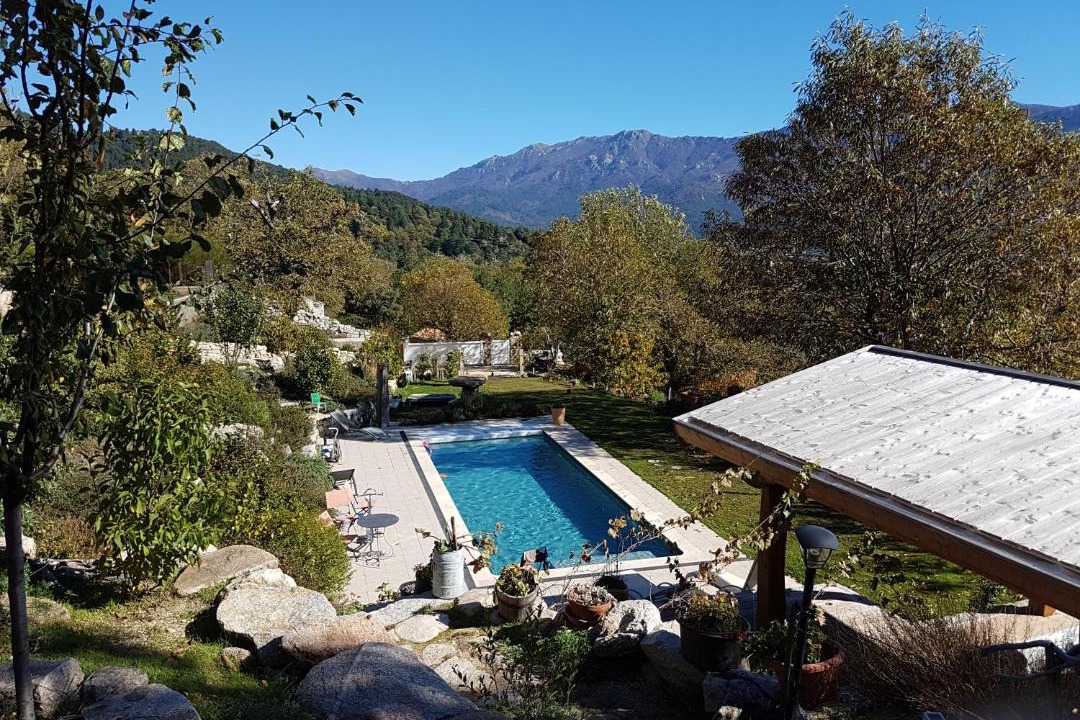 Photo of Others in Tasso