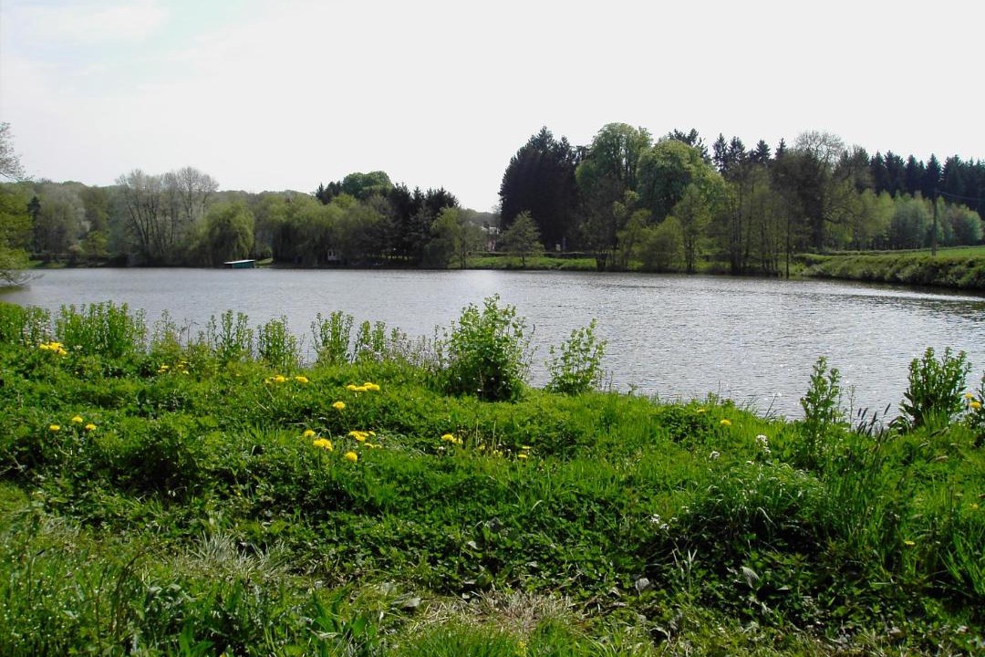 Photo of Others in Liessies