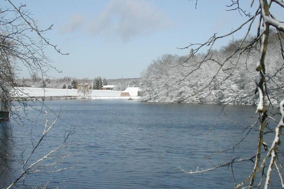 Photo of Others in Liessies