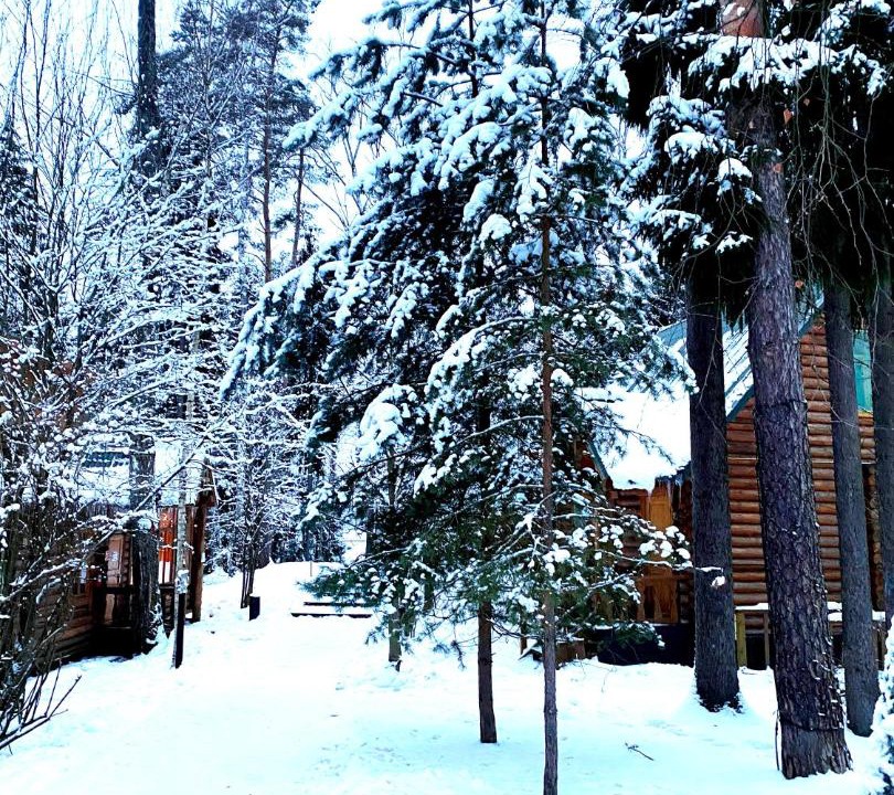 Photo of Others in Lopotovo