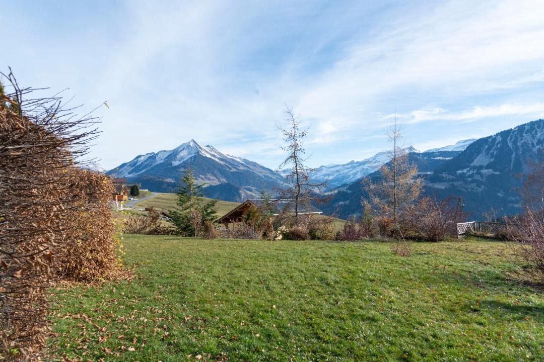 Photo of Others in Leysin