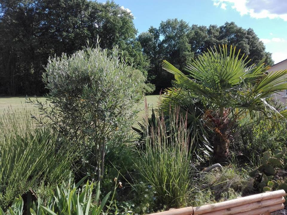 Photo of Outdoor in Polignac