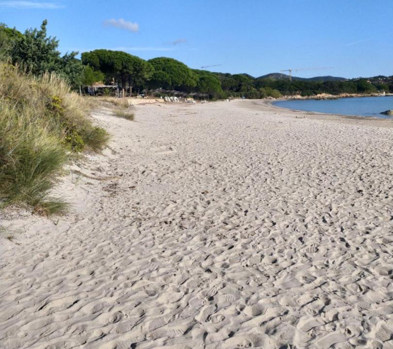 Photo of Others in Ghisonaccia