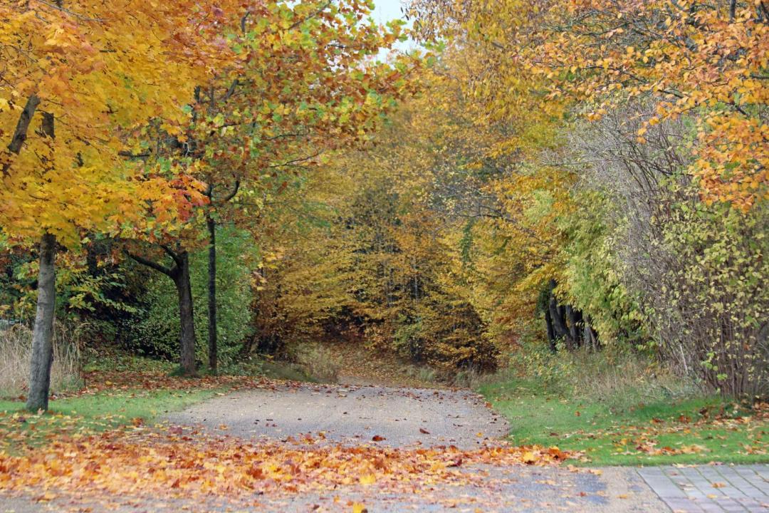 Photo of Others in Udsholt