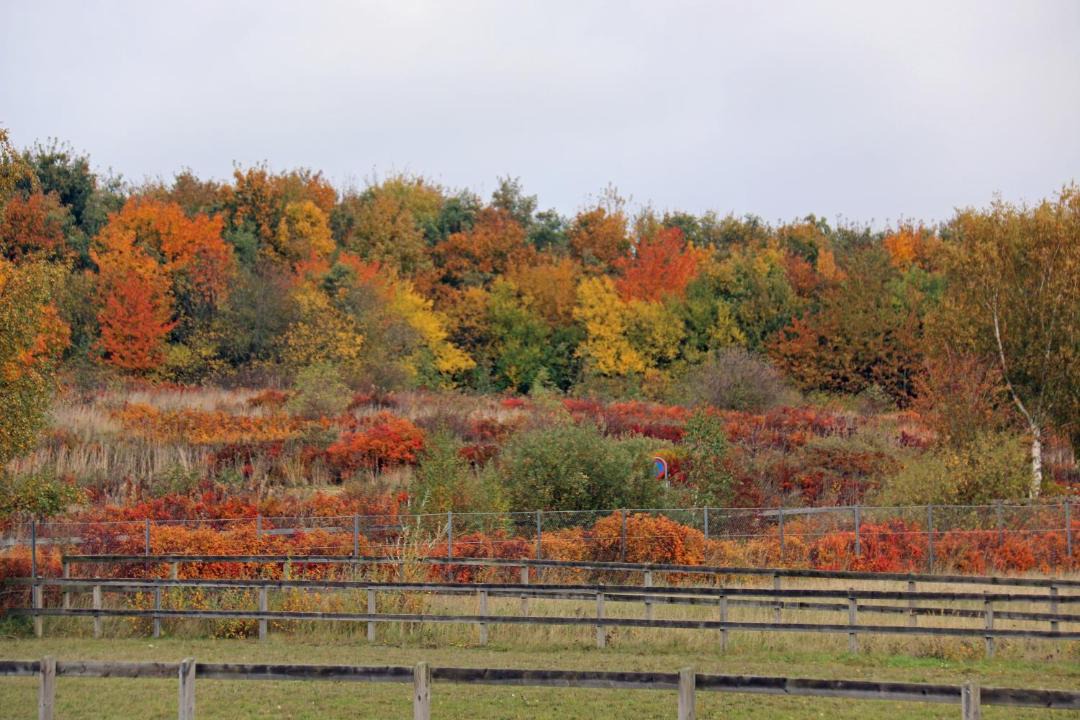 Photo of Others in Udsholt