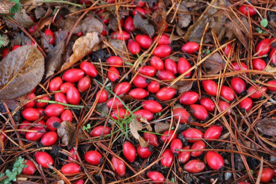 Photo of Others in Udsholt