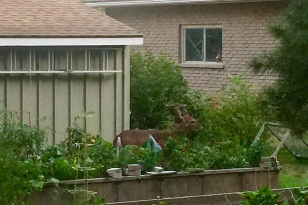 Photo of Buildings in Historic Old Town