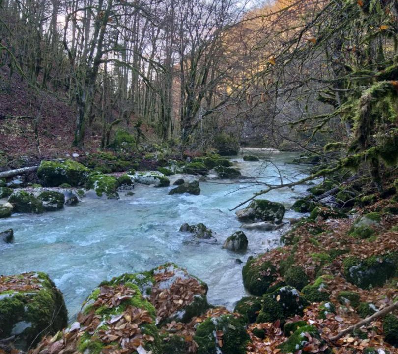 Photo of Others in Bellegarde-sur-Valserine