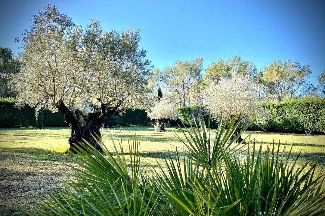 Photo of Others in Rocbaron