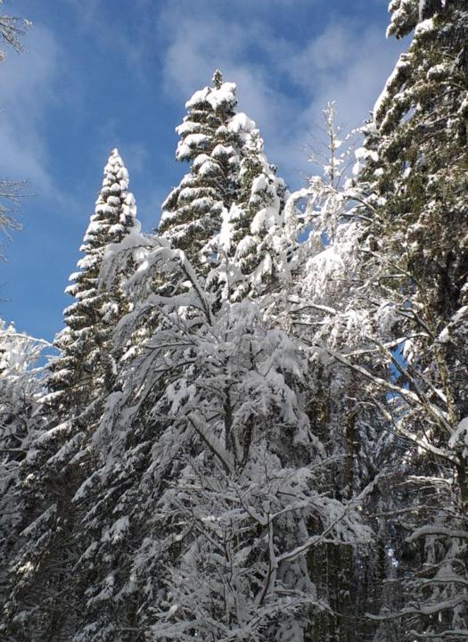 Photo of Others in Epinal