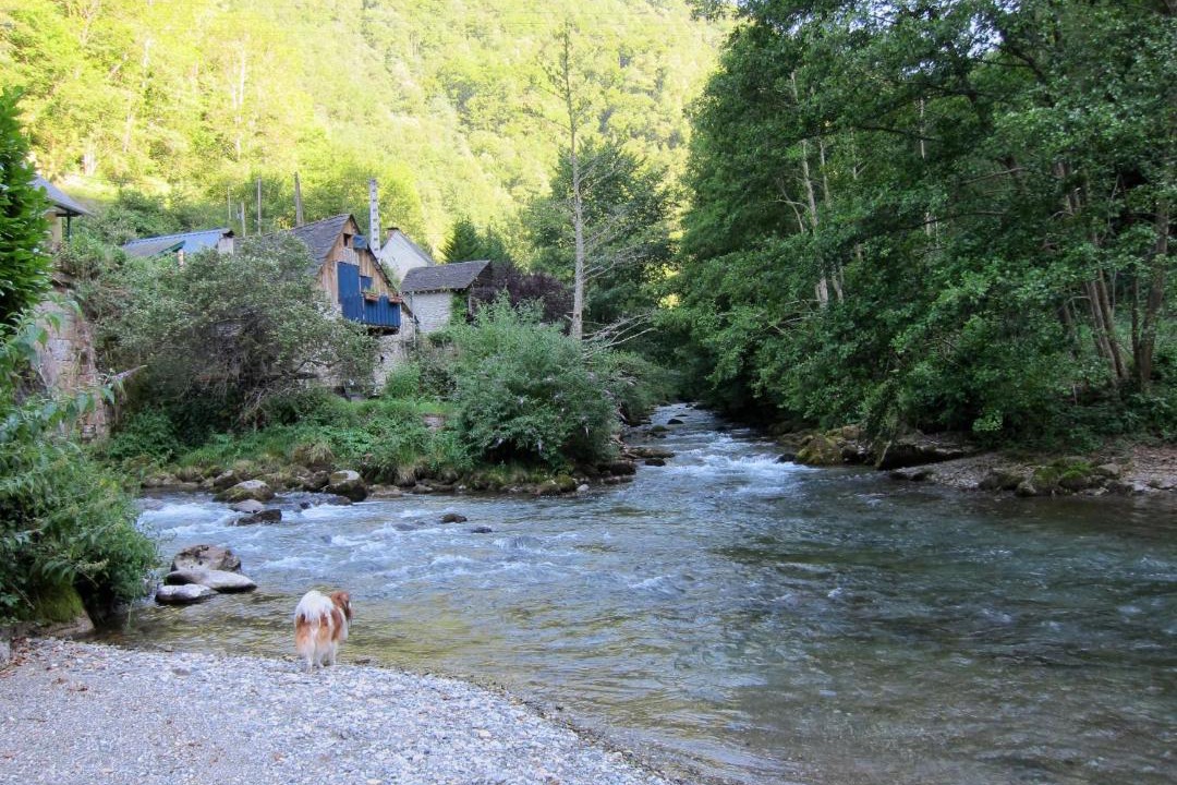 Photo of Others in Seix