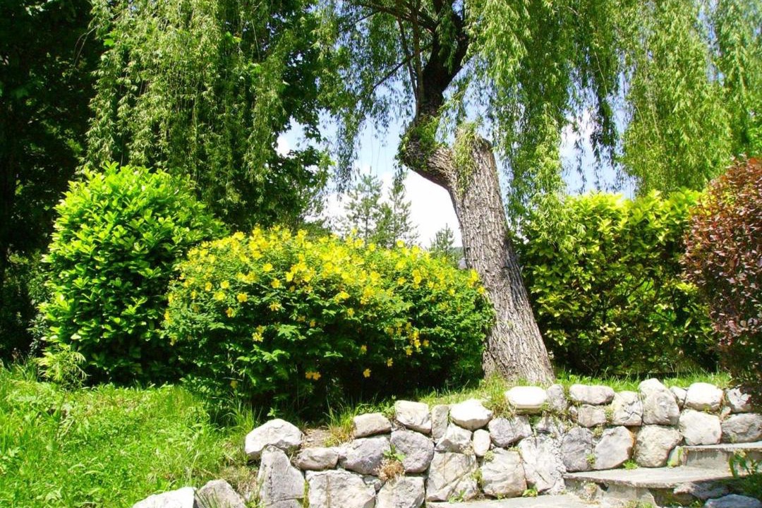 Photo of Others in Puget-Rostang