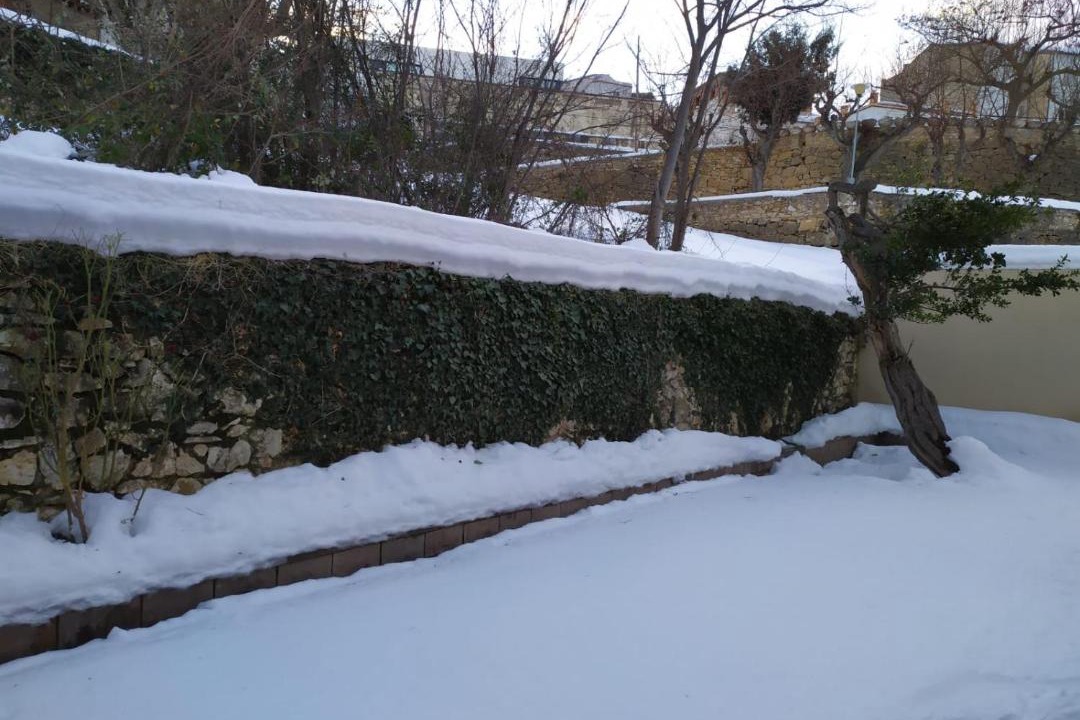 Photo of Others in Fuente en Segures