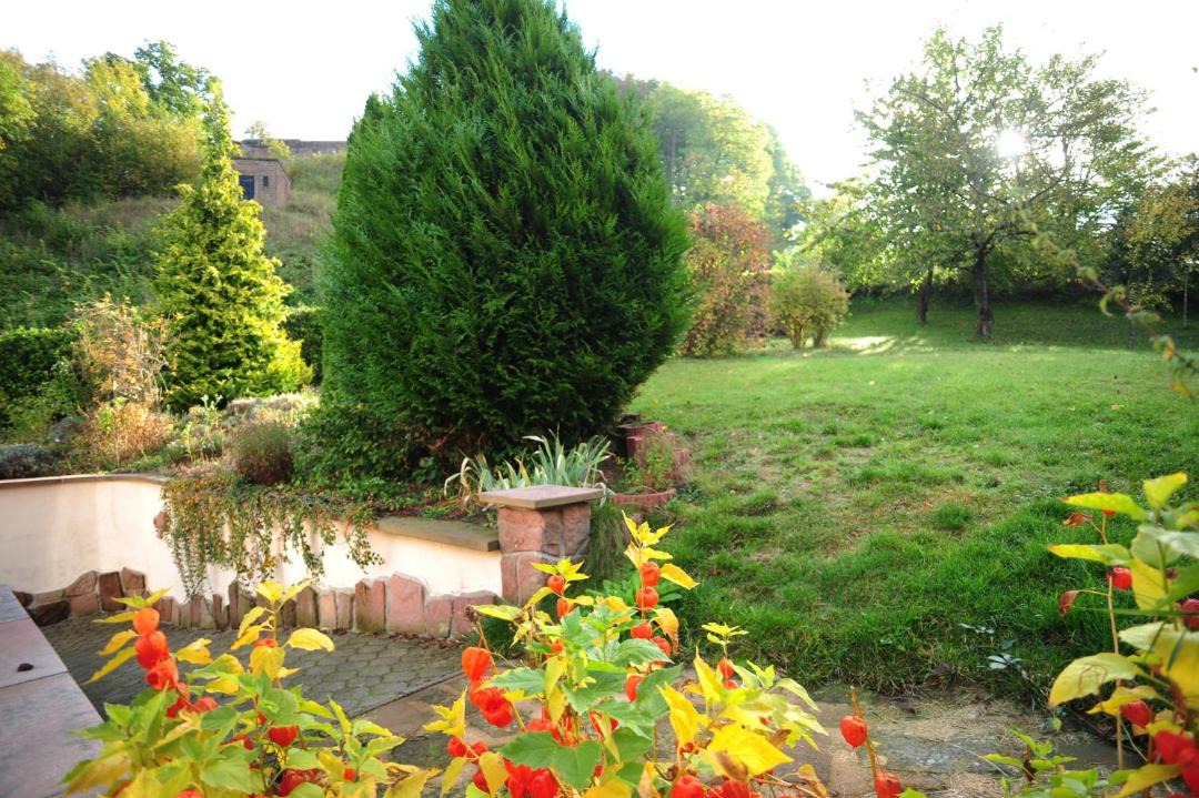 Photo of Others in Lichtenberg