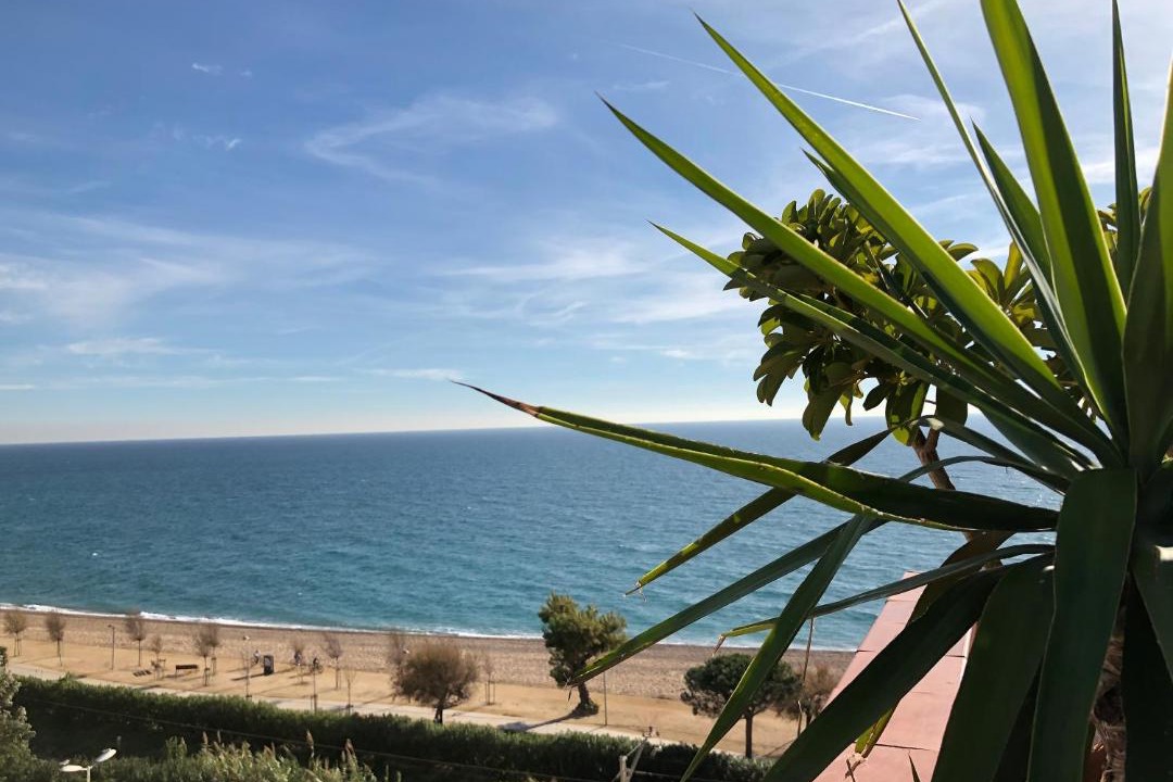 Photo of Others in Pineda de Mar