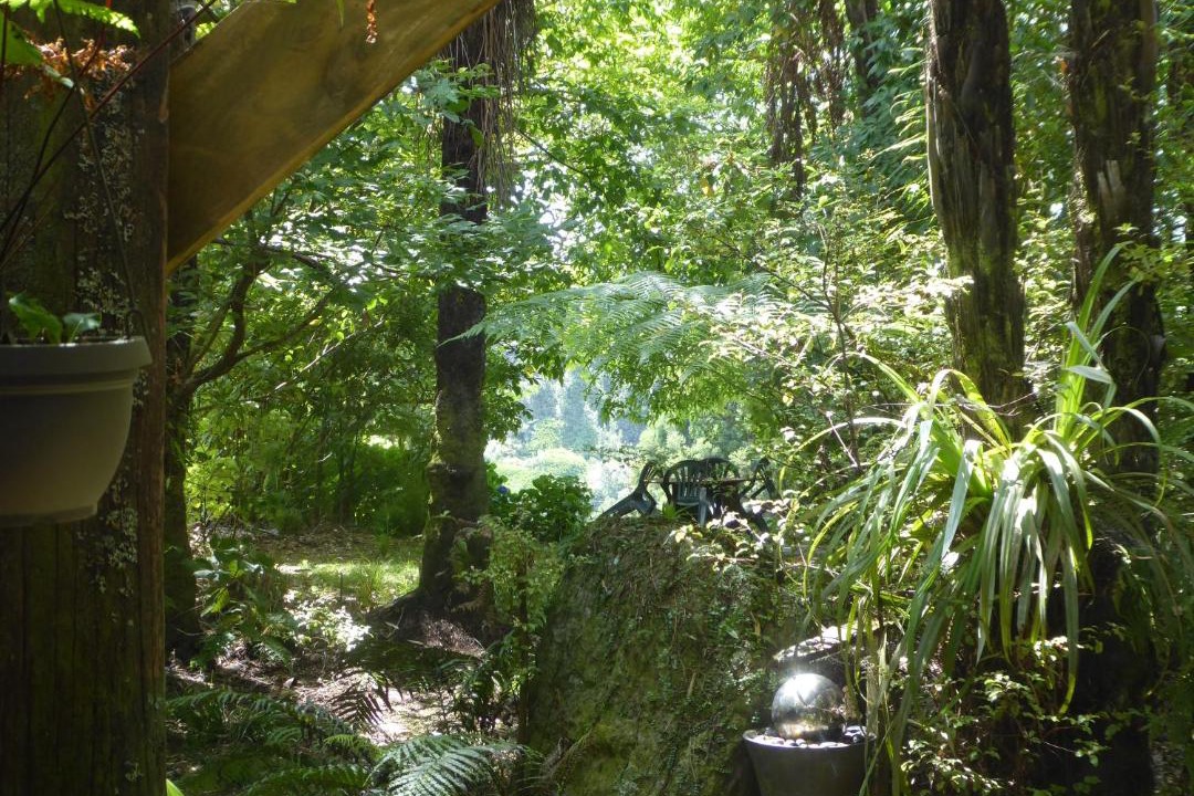 Photo of Others in Ohauiti