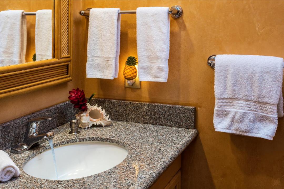 Photo of Others in Historic Lahaina Front Street