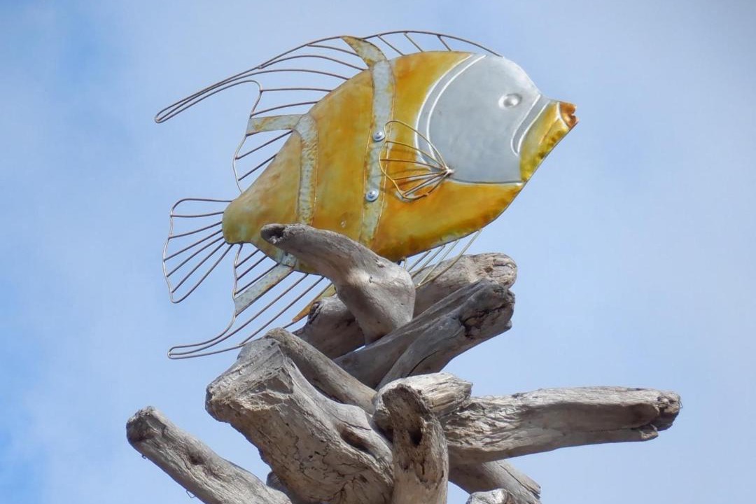 Photo of Others in Historic Lahaina Front Street