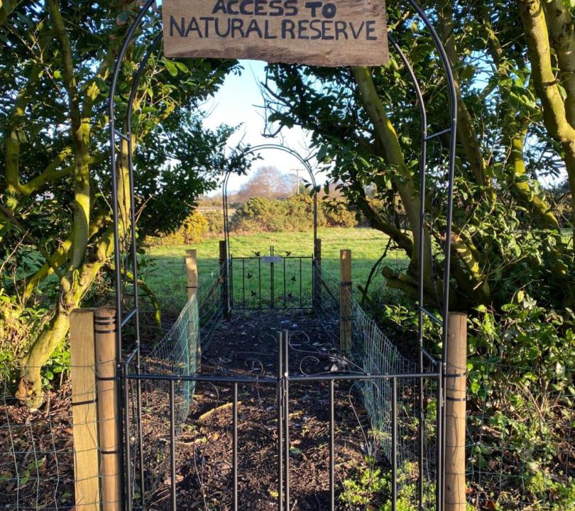 Photo of Others in Walberswick