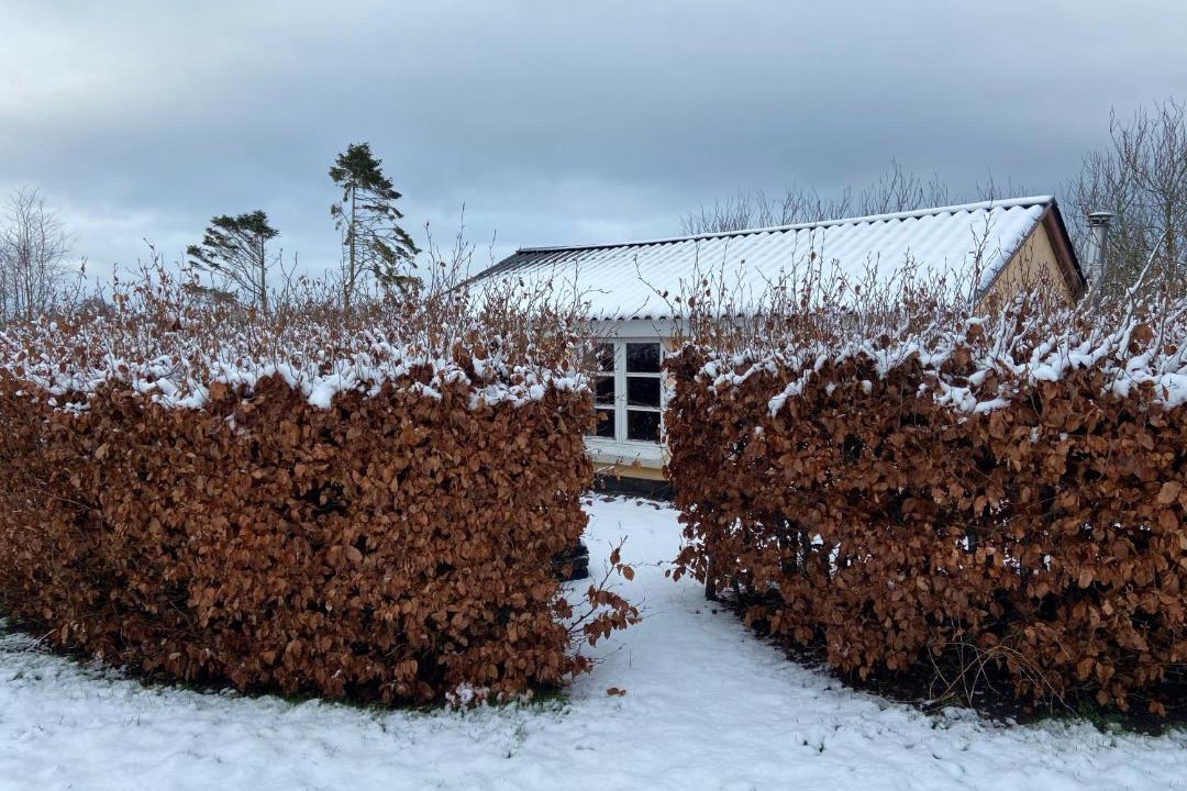 Photo of Buildings in Svendborg