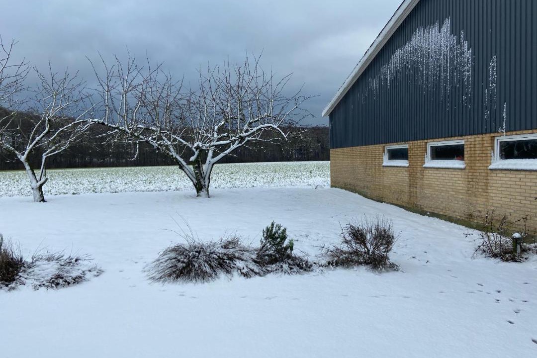 Photo of Buildings in Svendborg