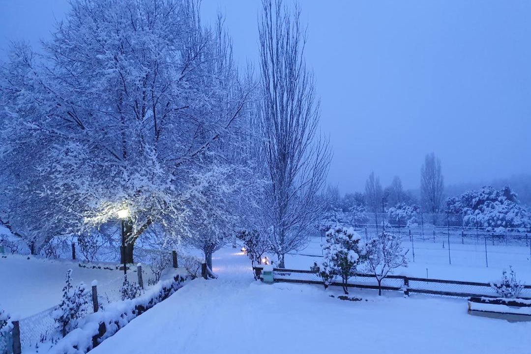 Photo of Others in Bogarra