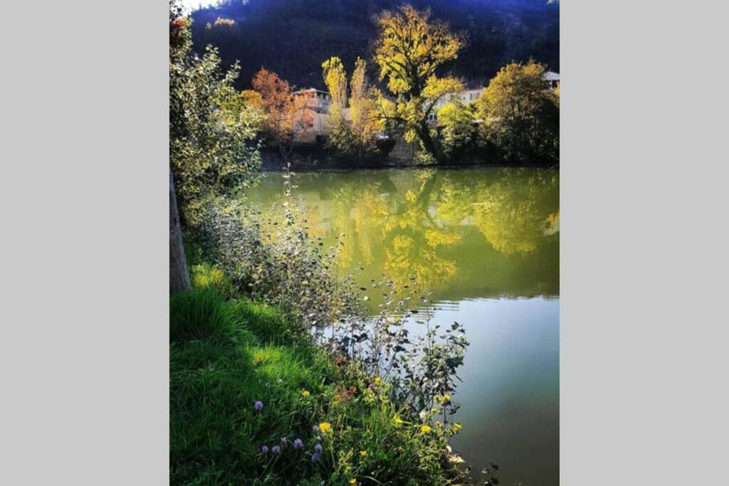 Photo of Others in Limoux