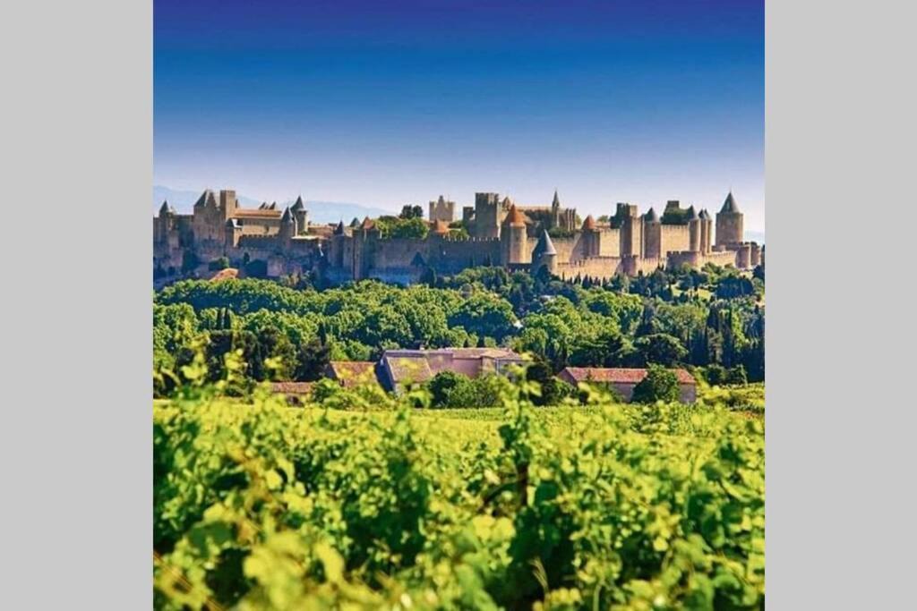 Photo of Others in Limoux
