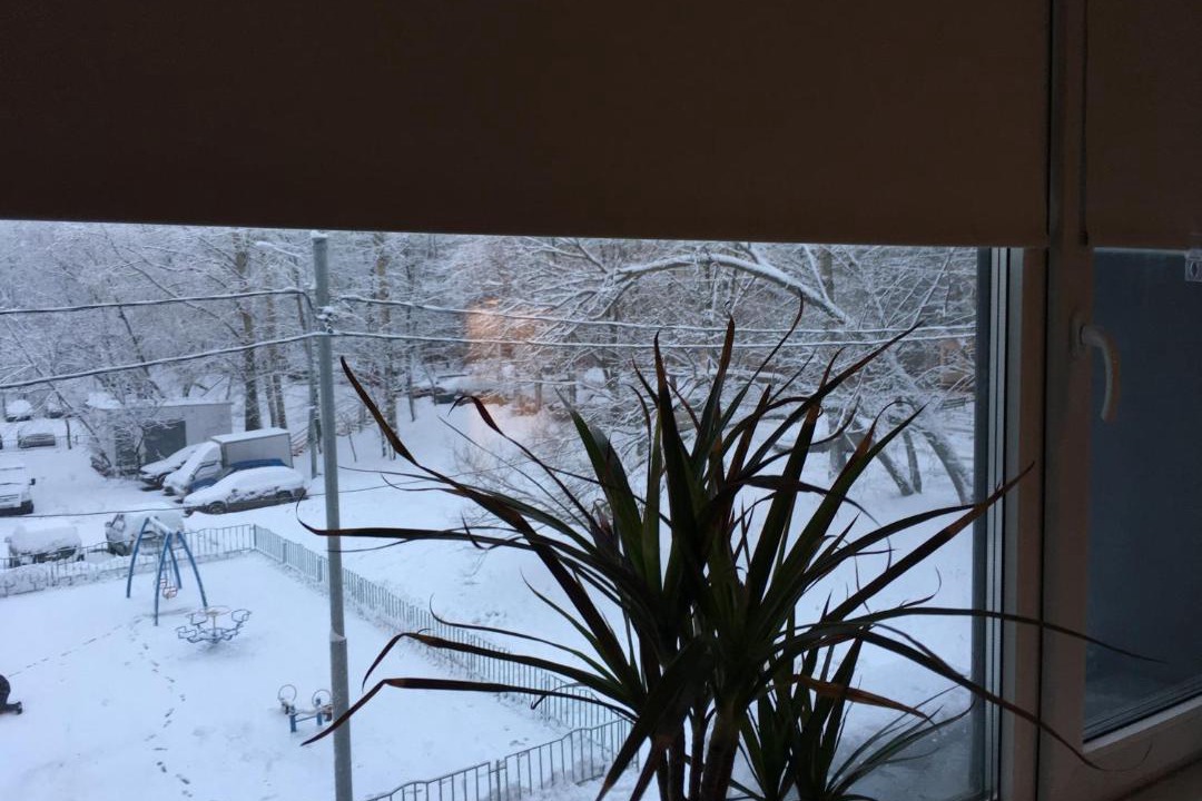 Photo of Others in Konkovo District