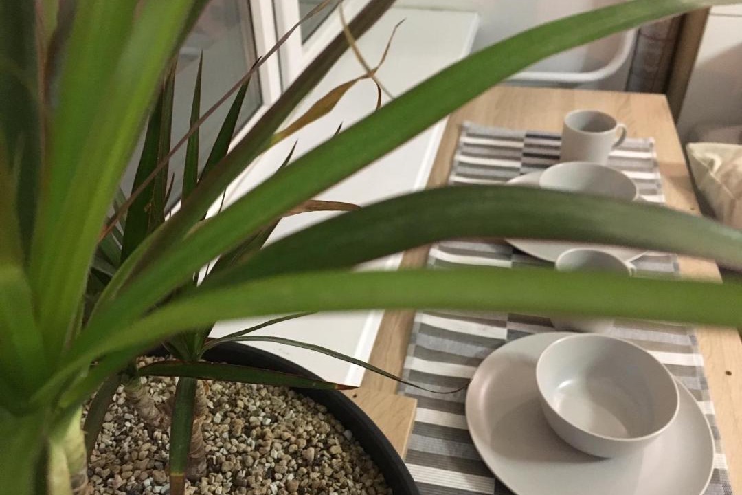 Photo of Patio Balcony in Konkovo District