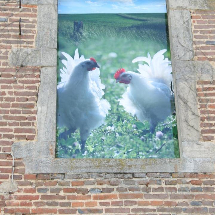 Photo of Others in Saint-Germain-du-Bois