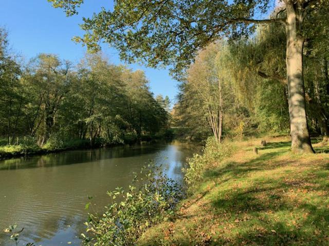 Photo of Others in Saint-Remy-les-Chevreuse
