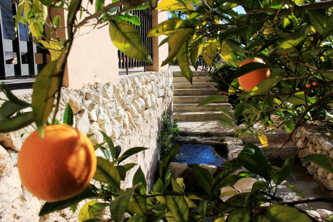 Photo of Others in El Castell de Guadalest