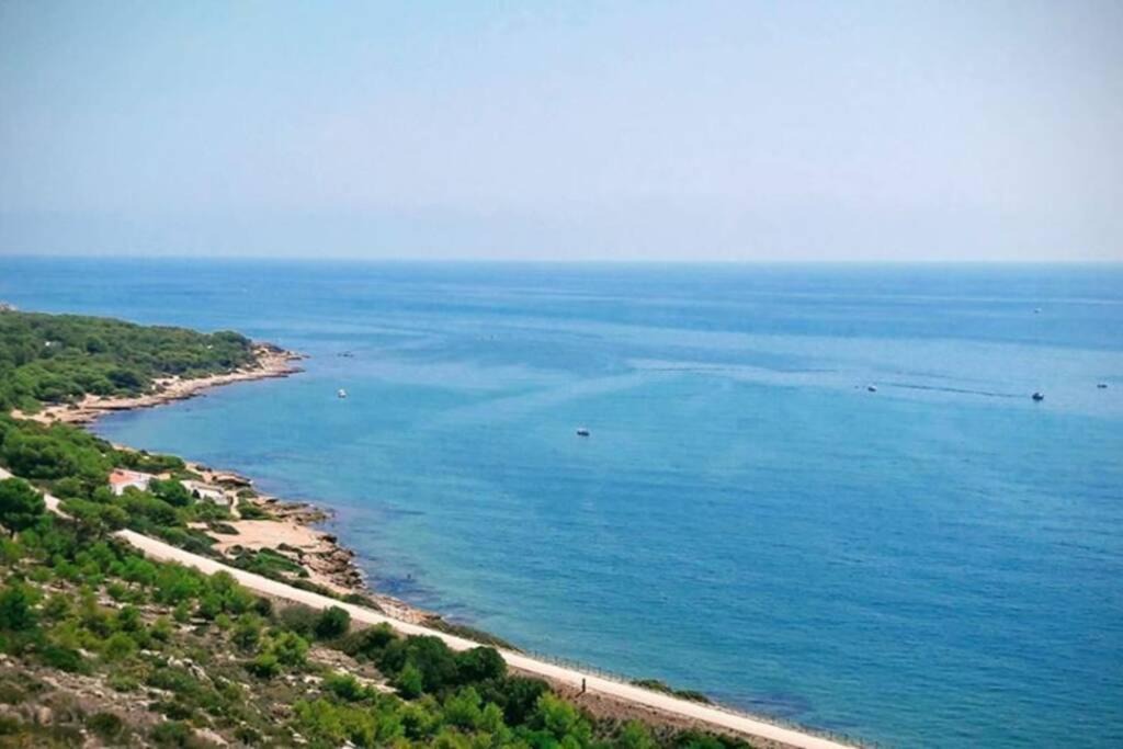Photo of Outdoor in Oropesa del Mar