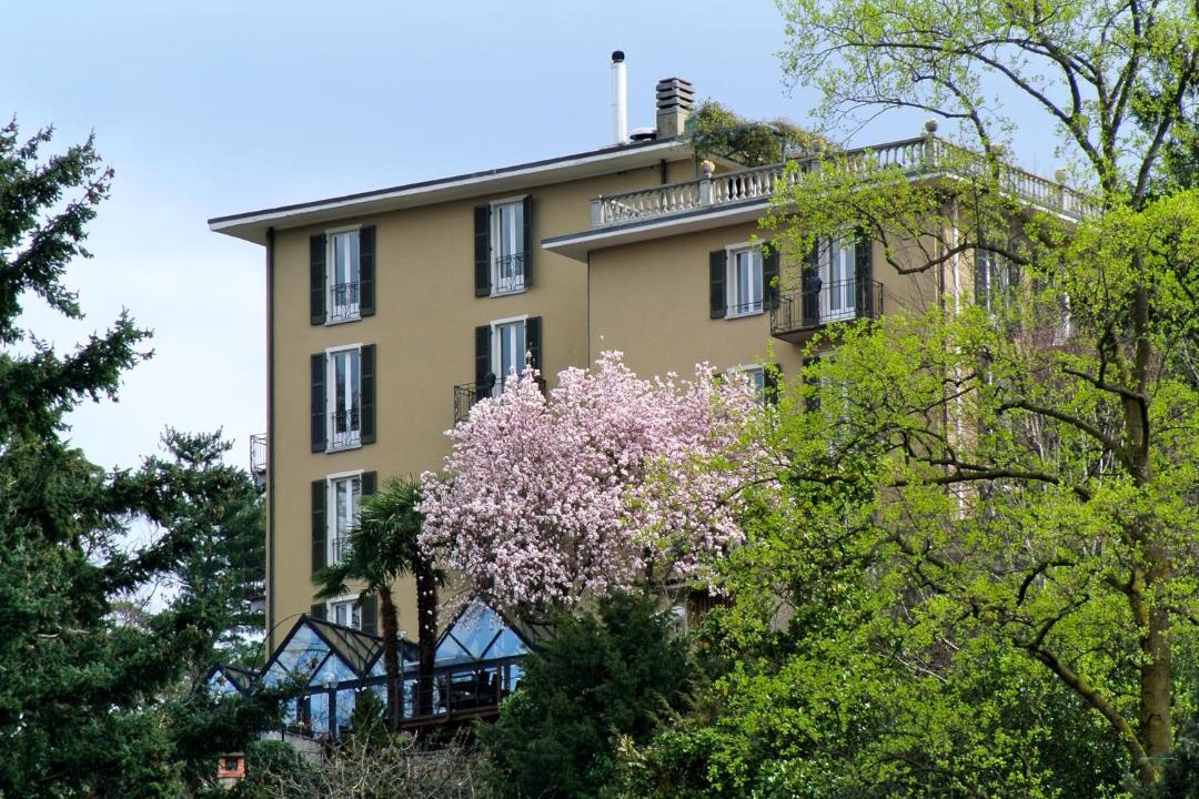 Photo of Others in Montagnola