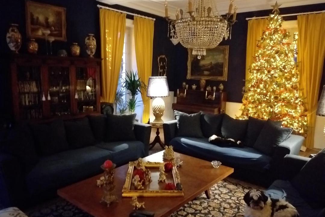 Photo of Livingroom in Ferrieres-sur-Sichon