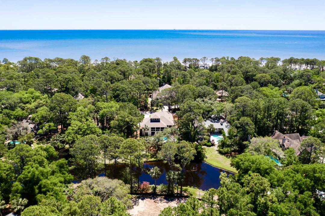 Photo of Others in Sea Pines