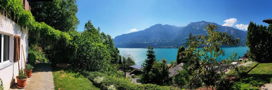 Photo of Others in Niederried bei Interlaken