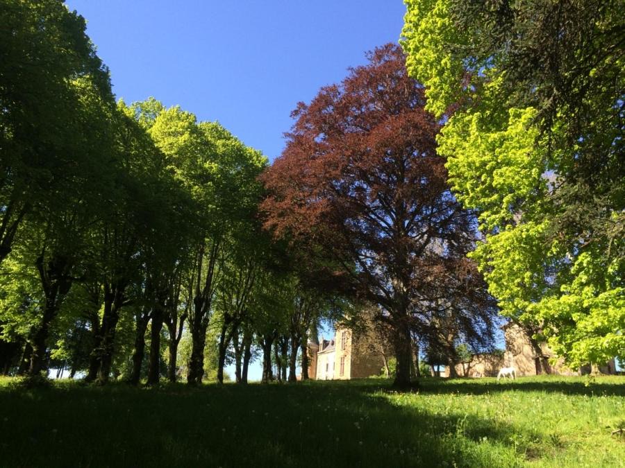 Photo of Others in Saint-Etienne-sur-Usson