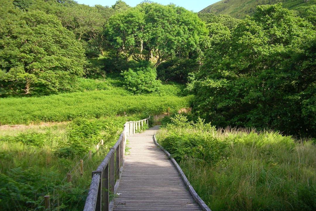 Photo of Others in Bryn-crug