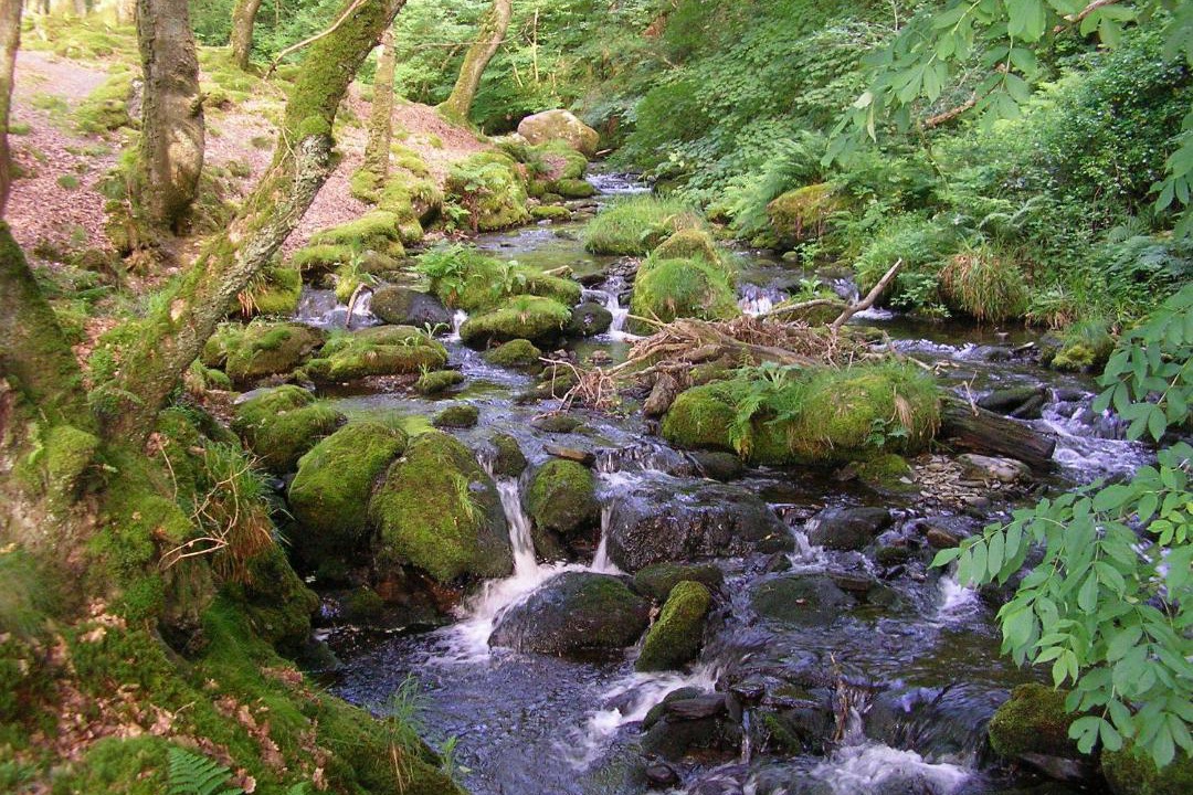 Photo of Others in Bryn-crug