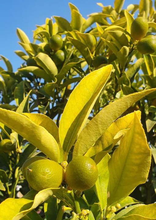 Photo of Others in Loo