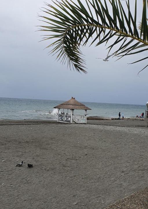 Photo of Outdoor in Loo