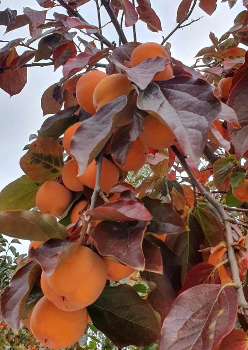 Photo of Others in Loo