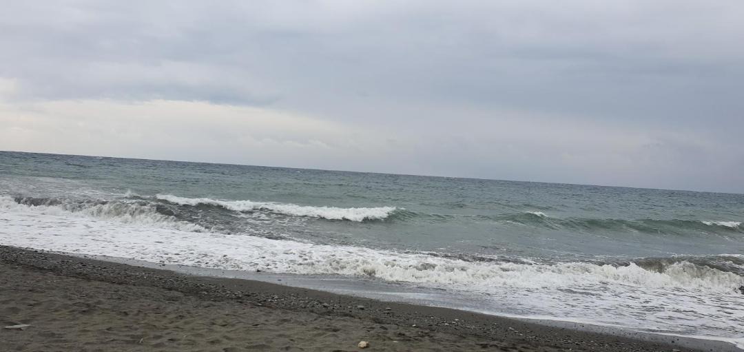 Photo of Outdoor in Loo