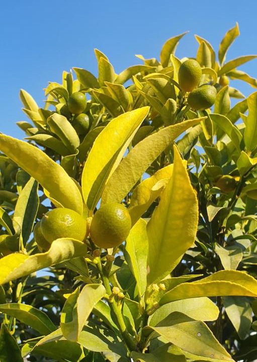 Photo of Others in Loo